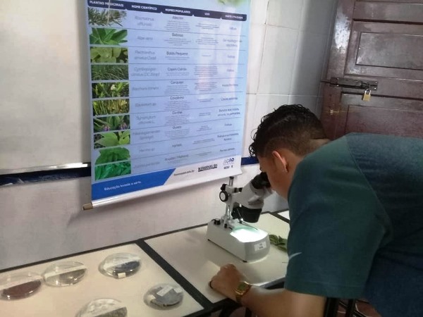 A Mostra de Profissões de 2018 reuniu cerca de 800 jovens. Foto: Arquivo/Escola